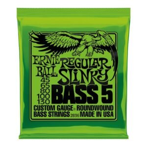 Green package of Ernie Ball Regular Slinky Bass 5 strings